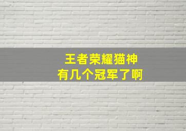 王者荣耀猫神有几个冠军了啊