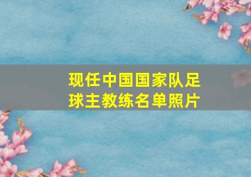 现任中国国家队足球主教练名单照片