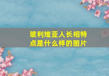 玻利维亚人长相特点是什么样的图片