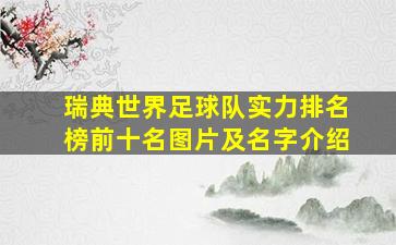 瑞典世界足球队实力排名榜前十名图片及名字介绍