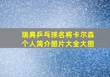 瑞典乒乓球名将卡尔森个人简介图片大全大图