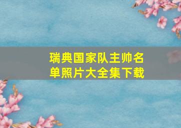 瑞典国家队主帅名单照片大全集下载