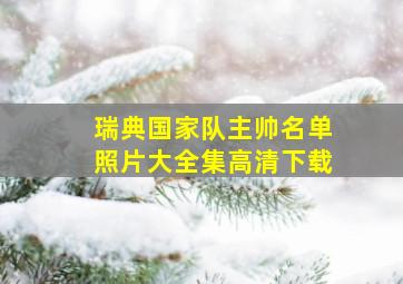 瑞典国家队主帅名单照片大全集高清下载