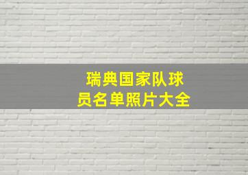 瑞典国家队球员名单照片大全