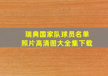 瑞典国家队球员名单照片高清图大全集下载