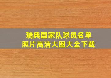 瑞典国家队球员名单照片高清大图大全下载