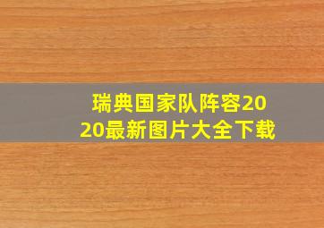 瑞典国家队阵容2020最新图片大全下载