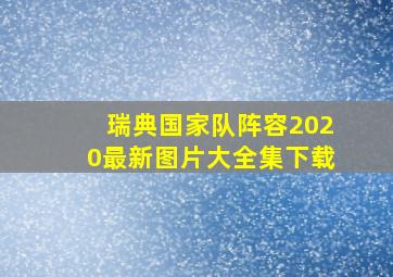 瑞典国家队阵容2020最新图片大全集下载