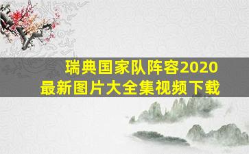 瑞典国家队阵容2020最新图片大全集视频下载