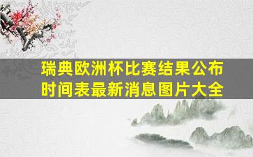 瑞典欧洲杯比赛结果公布时间表最新消息图片大全