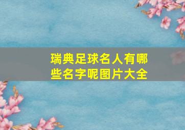 瑞典足球名人有哪些名字呢图片大全