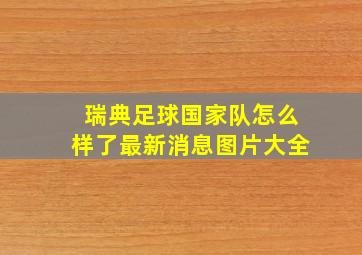 瑞典足球国家队怎么样了最新消息图片大全