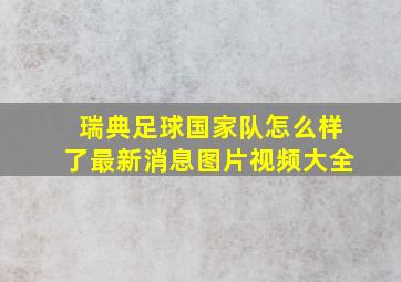 瑞典足球国家队怎么样了最新消息图片视频大全