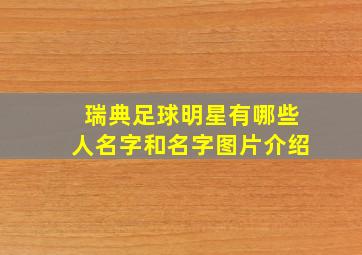 瑞典足球明星有哪些人名字和名字图片介绍