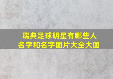 瑞典足球明星有哪些人名字和名字图片大全大图