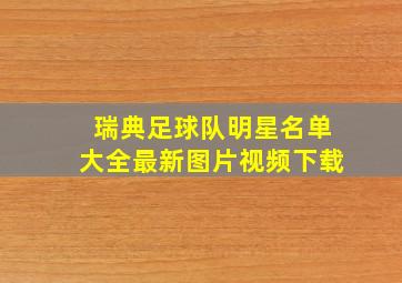 瑞典足球队明星名单大全最新图片视频下载