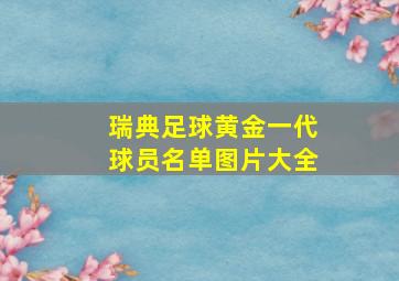 瑞典足球黄金一代球员名单图片大全