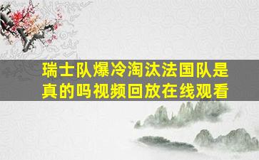 瑞士队爆冷淘汰法国队是真的吗视频回放在线观看