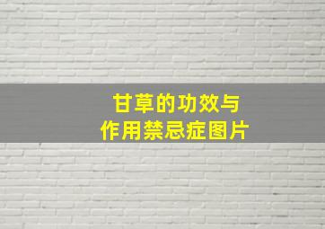 甘草的功效与作用禁忌症图片