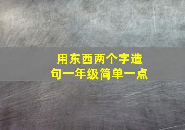 用东西两个字造句一年级简单一点