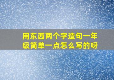 用东西两个字造句一年级简单一点怎么写的呀