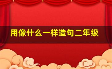 用像什么一样造句二年级