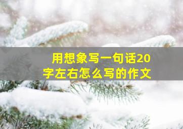 用想象写一句话20字左右怎么写的作文