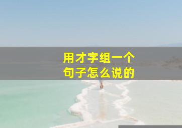 用才字组一个句子怎么说的