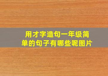 用才字造句一年级简单的句子有哪些呢图片