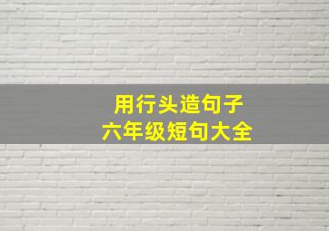 用行头造句子六年级短句大全