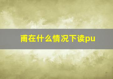 甫在什么情况下读pu