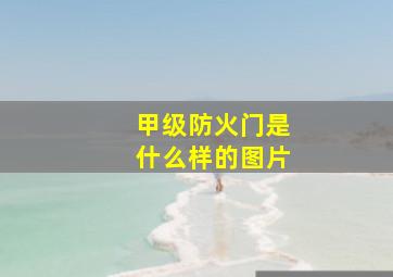 甲级防火门是什么样的图片