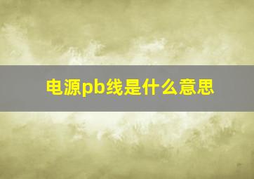 电源pb线是什么意思