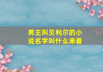 男主叫贝利尔的小说名字叫什么来着