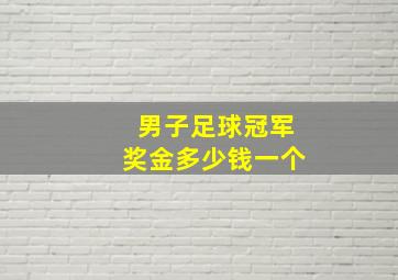 男子足球冠军奖金多少钱一个