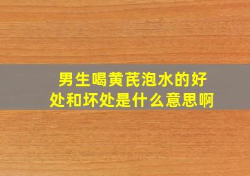 男生喝黄芪泡水的好处和坏处是什么意思啊