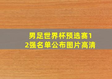 男足世界杯预选赛12强名单公布图片高清