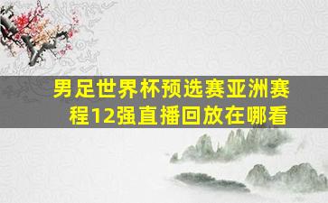 男足世界杯预选赛亚洲赛程12强直播回放在哪看