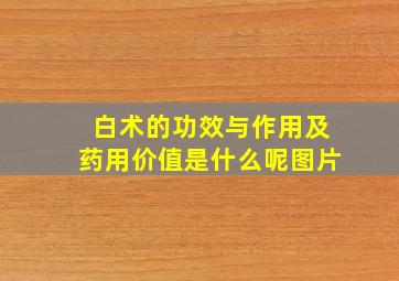 白术的功效与作用及药用价值是什么呢图片