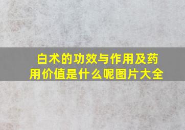 白术的功效与作用及药用价值是什么呢图片大全