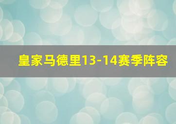 皇家马德里13-14赛季阵容