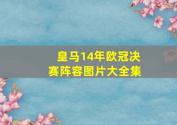 皇马14年欧冠决赛阵容图片大全集