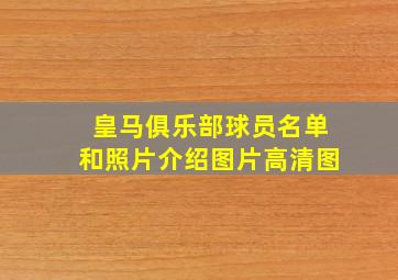 皇马俱乐部球员名单和照片介绍图片高清图