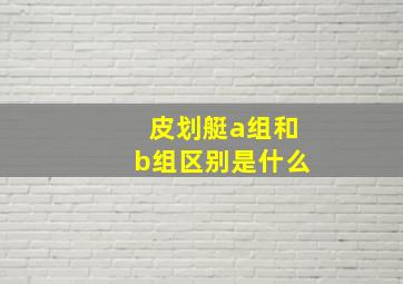 皮划艇a组和b组区别是什么