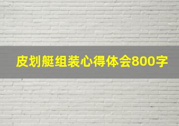 皮划艇组装心得体会800字