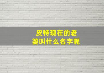 皮特现在的老婆叫什么名字呢