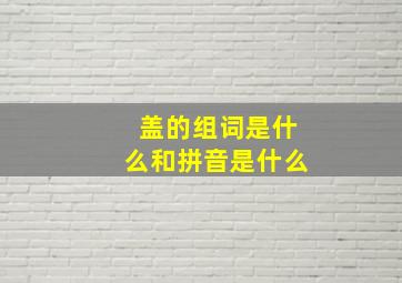 盖的组词是什么和拼音是什么