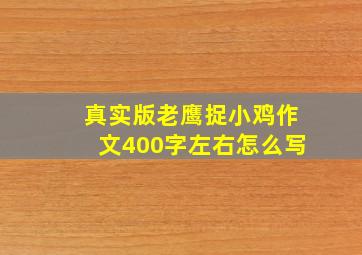 真实版老鹰捉小鸡作文400字左右怎么写