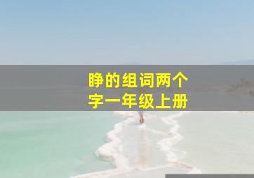 睁的组词两个字一年级上册