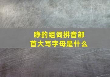 睁的组词拼音部首大写字母是什么